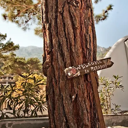 Stamatina Σπίτι διακοπών *